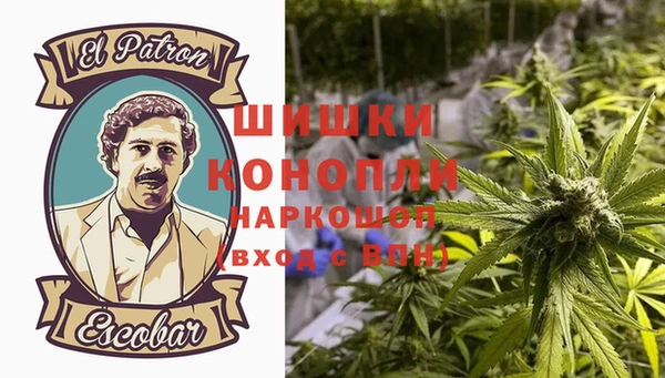 хмурый Верея