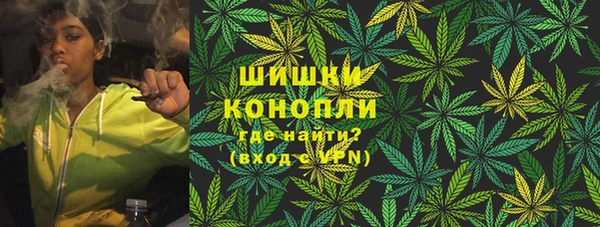 хмурый Верея