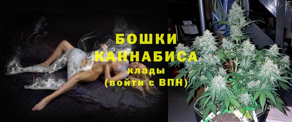 хмурый Верея