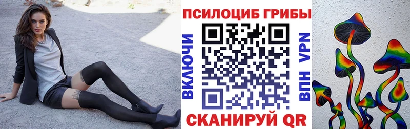 купить  цена  Каргополь  Галлюциногенные грибы MAGIC MUSHROOMS 